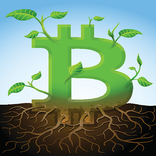 Learn Blockchain (#1 Books )