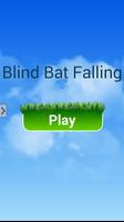 پوستر Blind Bat Falling