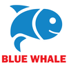 Blue Whale Game MOD