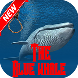 Blue Whale Game icon