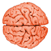 Brain Tap APK