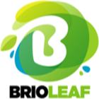 آیکون‌ Brioleaf