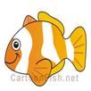 Catch the Fish APK