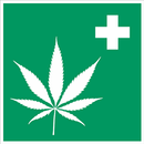 Cannabis News App APK