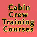 Cabin Crew Free Training Courses icône