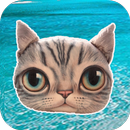 Caress You cat APK