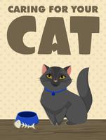 Caring For Your Cat Affiche