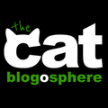 Cat Blog