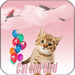 Cat and Bird
