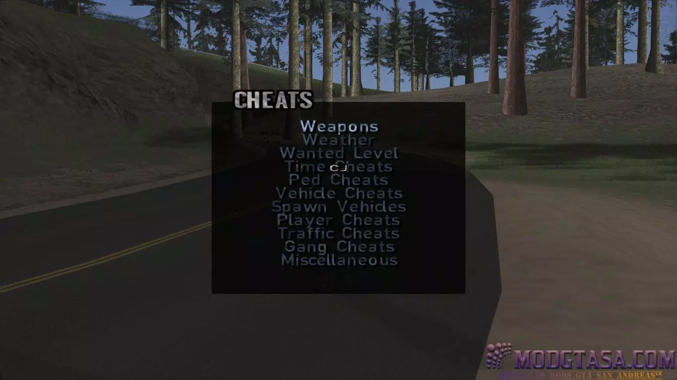 Cheat GTA San Andreas Android, Must Note!