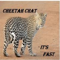Cheetah Chat-poster