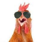 Chicken Chat icono