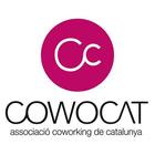 Cowocat icône