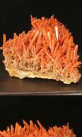 Crocoite скриншот 1