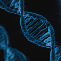 Curso Técnicas moleculares