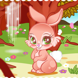Cute Bunny Dress Up