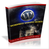 ikon DIY Wordpress Website Secrets