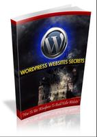 برنامه‌نما DIY Wordpress Website Secrets عکس از صفحه