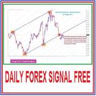 Daily Forex Signal ícone