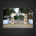 Darrang College