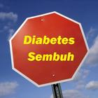 Diabetes Sembuh আইকন