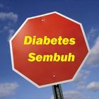 Diabetes Sembuh иконка