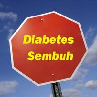 Diabetes Sembuh ポスター