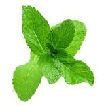 Diabetes Solution (Gujarati)