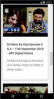 2 Schermata Dil Mom Ka Diya ARY Drama