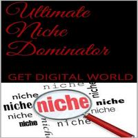 Dominate Any Niche Affiche