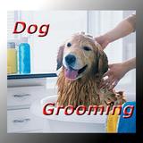 Dog Grooming icône