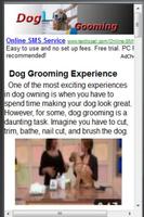 Dog Grooming capture d'écran 1