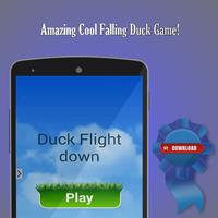 Duck Flight Down اسکرین شاٹ 1