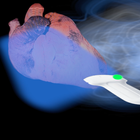 Echocardiography guide ícone