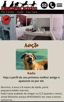 Espaço pra Cachorro Ekran Görüntüsü 2