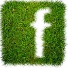 Facebook Green icône
