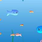 Fish Game icône
