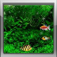 Fish Tele Chat captura de pantalla 2