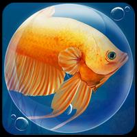 Fish Tele Chat 스크린샷 3