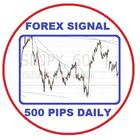 Free Forex Signal 500 pips daily icône