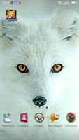 Foxes in the Wood poster