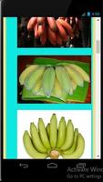 Supply Flowers Fruits Coconut screenshot 2