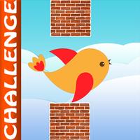 Flappy Aves Challenge poster