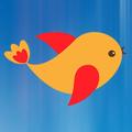 Flappy Bird  Pro