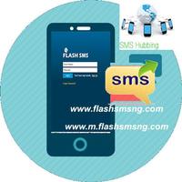 Flashsmsng Bulksms Solution 海報