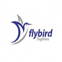 FlyBird capture d'écran 1