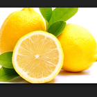 Fun limon browser ikon