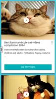 Funny Cats HD syot layar 1