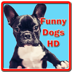 Funny Dogs HD आइकन
