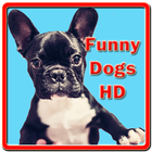 Funny Dogs HD simgesi